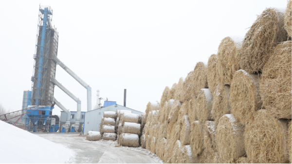 煤炭價格高，烘糧利潤低，吉林大安市500噸糧食烘干塔改用秸稈大包直燃鍋爐，每天省3萬