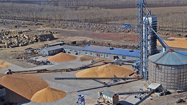 糧食烘干合作社如何做到年節(jié)省90萬(wàn)元？利民萬(wàn)佳鍋爐為您解析